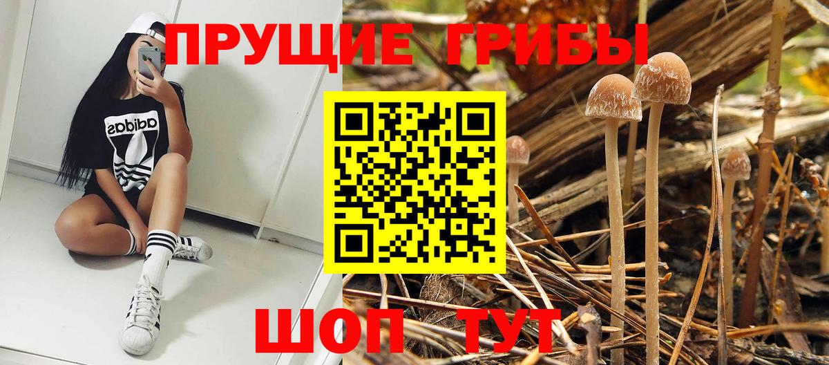 Псилоцибиновые грибы Psilocybe  Вход с VPN  Иркутск  Псилоцибиновые грибы MAGIC MUSHROOMS 