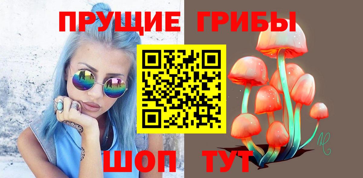 Псилоцибиновые грибы Psilocybine cubensis Иркутск